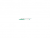 Полка из закаленного стекла для верхнего шкафа 5*268*290 Прозрачный